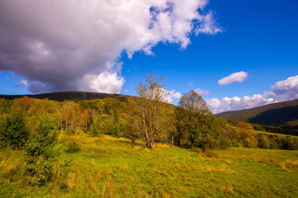 istock Landscape with Bieszczady mountains in Poland 1093688696