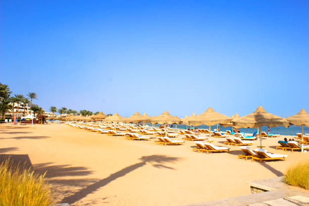 istock Sunny tropical beach with umbrellas. 1093694636