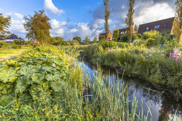 istock Ecological park with river in urban area 1093697420