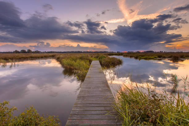 Wetland Footbridge at sunset