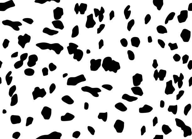illustrazioni stock, clip art, cartoni animati e icone di tendenza di modello dalmata senza cuciture. sfondo orizzontale, - female animal big cat undomesticated cat feline