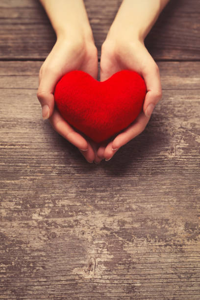 istock Female hands holding red heart 1093699916
