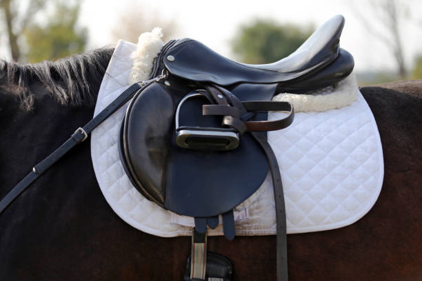 istock Close up of a sport saddle on equestrian event 1093702116