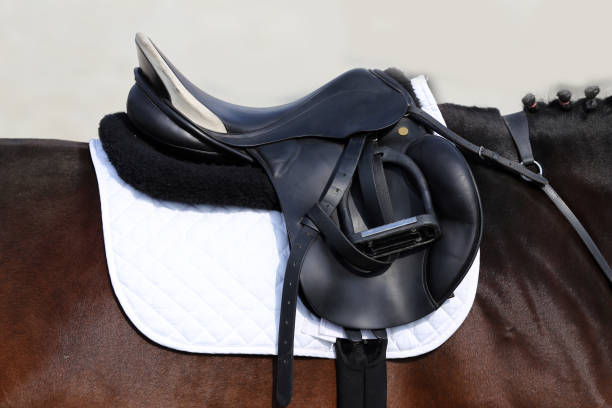 istock Close up of a sport saddle on equestrian event 1093702126