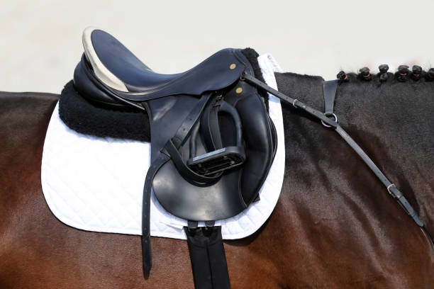 istock Close up of a sport saddle on equestrian event 1093702134