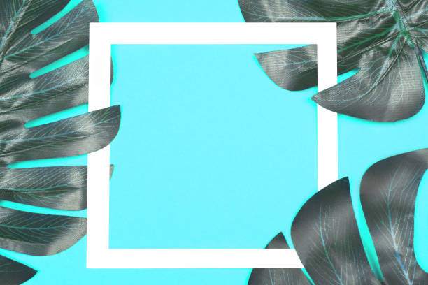 istock Monstera leaves on blue background with frame. 1093702324