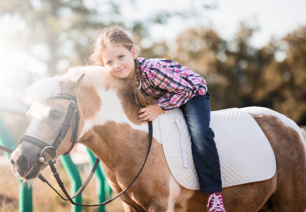 istock Pony. Landscape. Riding. Autumn 1093705480
