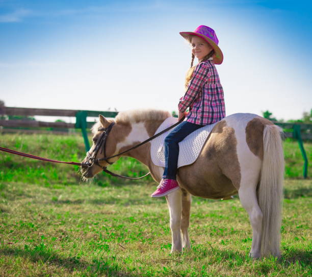 istock Pony. Landscape. Riding. Summer 1093705634