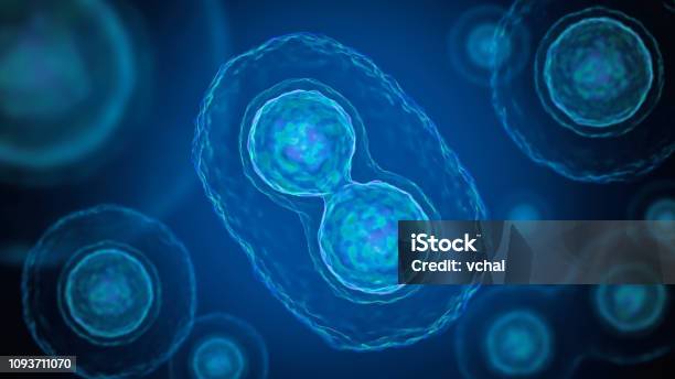 Mitosis Cell Division Of Bacteria 3d Rendered Illustration Stock Photo - Download Image Now