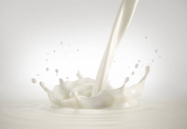 istock Milk pour with crown splash, in milk pool with ripples. Bird eye view. 1093718048