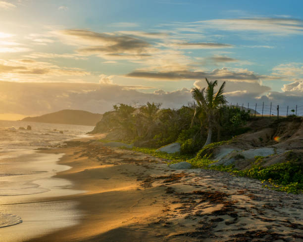 tramonto sull'isola di vieques, porto rico - isabella island foto e immagini stock