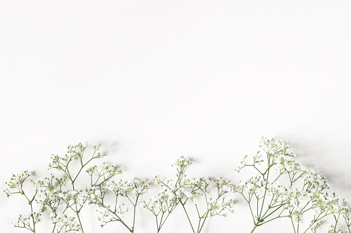 Estilo Foto stock. Boda femenina, composición de cumpleaños con flores de Gypsophila de aliento de bebé. Fondo de mesa blanca. Espacio vacío. Marco floral, banner de la web. Vista superior. photo