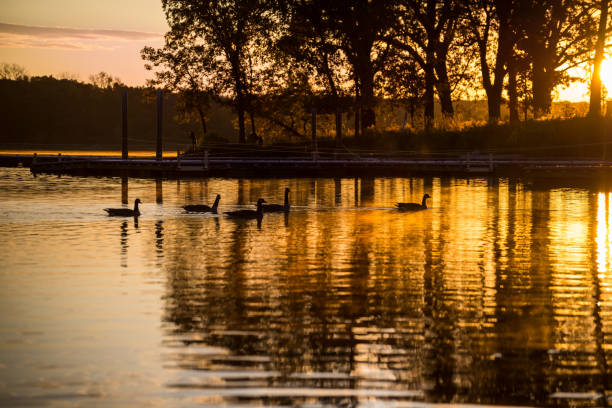 istock Beautiful sunset over lake 1093731090