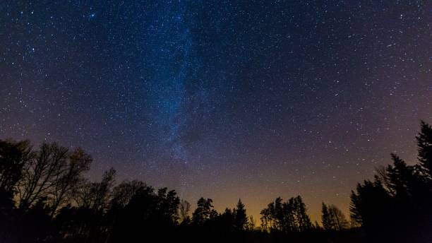 istock Starry night sky with Milky way over forest 1093733298