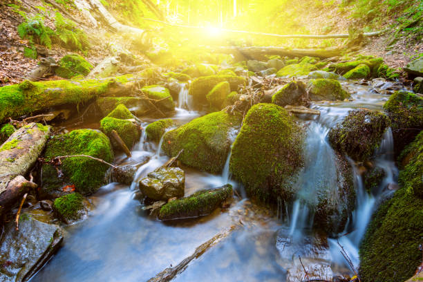 istock beautifull small river rushing through the mountain canyon 1093733506