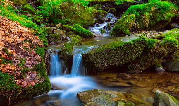 istock small closeup waterfall on the mountain creek 1093733510