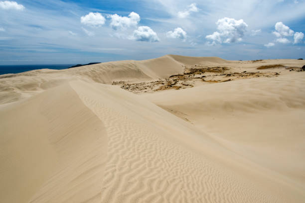 Te paki Dunes stock photo