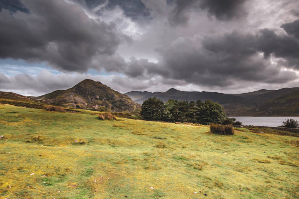 piękne krajobrazy brytyjskiej wsinięć, ciemne chmury toczenia nad malowniczą górską doliną i zboczach wzgórza malowane światłem i cieniami. - nature rough cumbria sunlight zdjęcia i obrazy z banku zdjęć