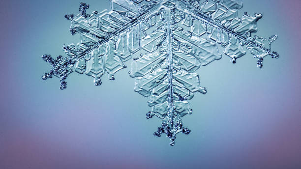 istock Beautiful snow flake on a light blue background close up 1093739278