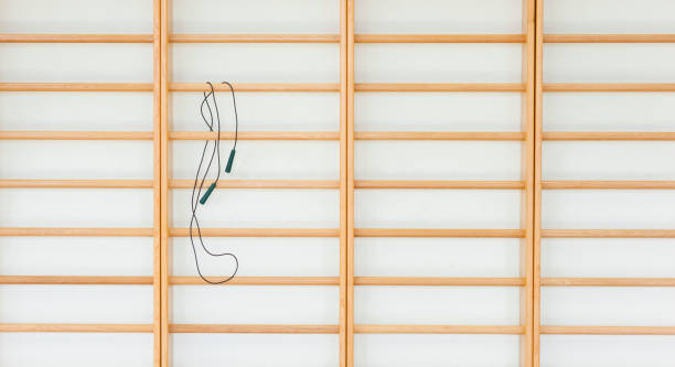 istock Wall bars and jump rope in the school gymnastic hall 1093740330