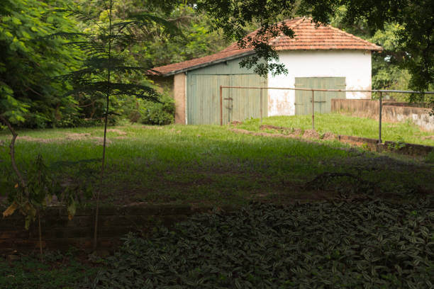 istock Architecture. Beautiful view of rustic barn on green field and trees. 1093750214