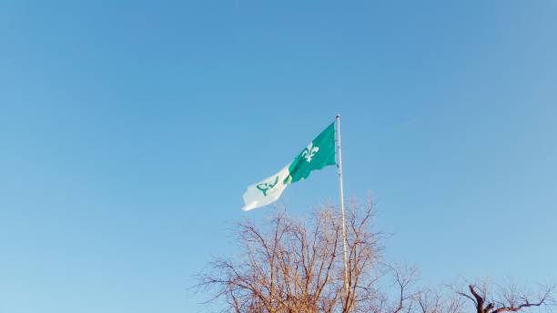 Franco-Ontarian flag Low-dive view of the Franco-Ontarian flag flying in the wind ontario flag stock pictures, royalty-free photos & images