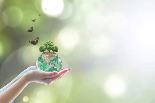 istock Planting green globe and arbor tree on volunteer's hand for saving environment nature conservation and csr concept: Element of the image furnished by NASA 1093762036