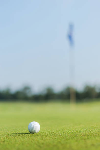 Golf ball on green grass course lawn field park nature background