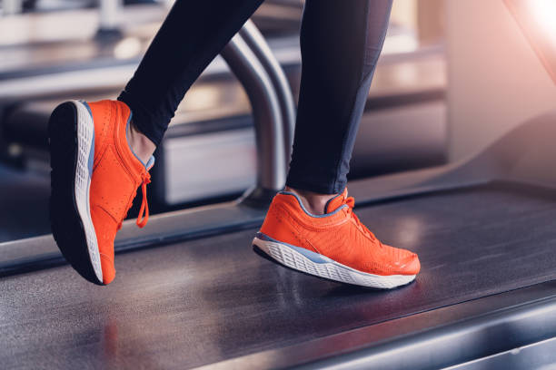 exercise science