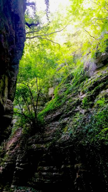 istock Gorges of the Garrafo River 1093767356