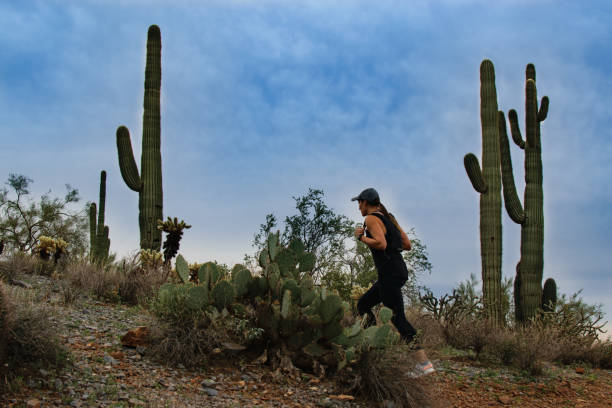 데 일 아리조나에 하이킹 하는 여자 - hiking sonoran desert arizona desert 뉴스 사진 이미지