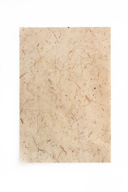 istock Banana paper sheet isolated on white background 1093775270