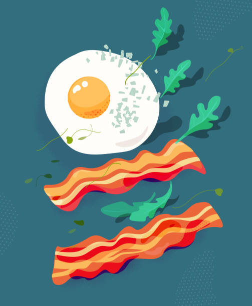 illustrations, cliparts, dessins animés et icônes de oeuf au plat et bacon, roquette. illustration vectorielle de petit déjeuner. - bacon vector breakfast farm