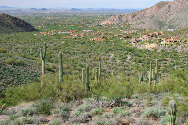istock Phoenix Arizona Desert Landscape 1093779404
