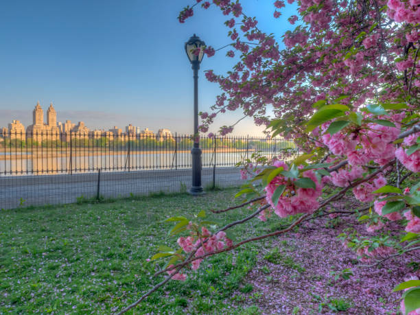 istock Central Park, New York City in spring 1093780934