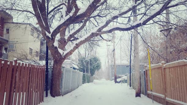 istock Snowy alley (photo2) 1093799602