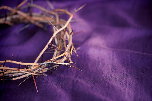 Easter Crown Of Thorns On A Purple Robe Background Stock Photo ...