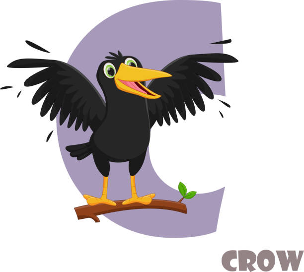 2,204 Cute Crow Illustrations & Clip Art - iStock