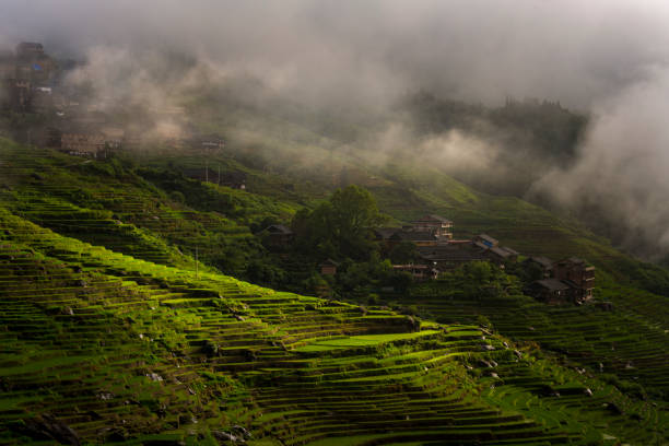 istock Longji Terraced Fields in Longsheng,Guilin,China 1093841866