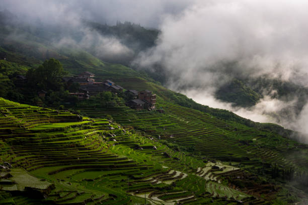 istock Longji Terraced Fields in Longsheng,Guilin,China 1093841884