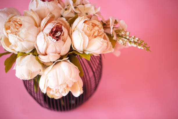 flower on pink background stock photo