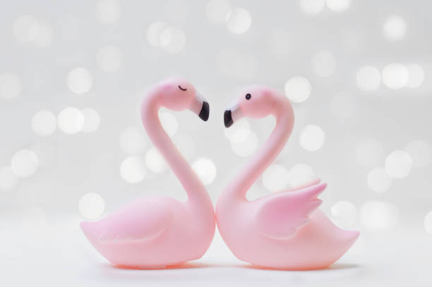 istock Flamingo couple in love 1093855900