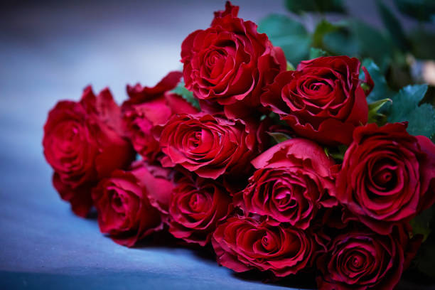 bouquet of red rose stock photo