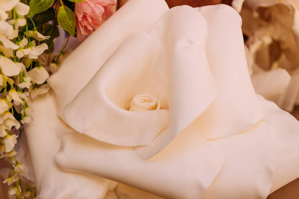 istock Great White Rose of foamirana 1093863118