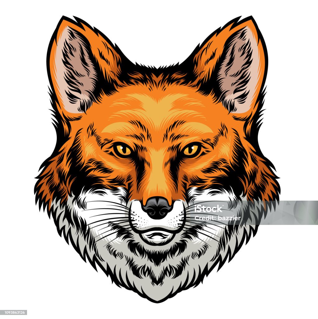 fox head hand drawn style vector of fox head hand drawn style Fox stock vector