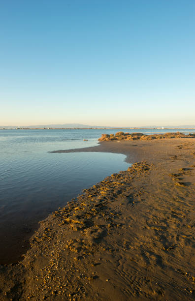 istock The coast in the delta del ebro at sunset 1093865530