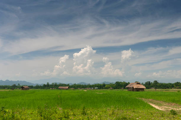 istock Assamese House near Brahmaputra river, Assam,  India 1093869040