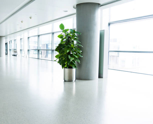 istock Empty corridor in airport building 1093872258