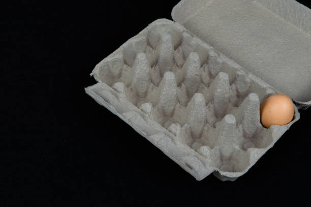 istock One chicken egg in a carton box, isolated on black mat background 1093872320