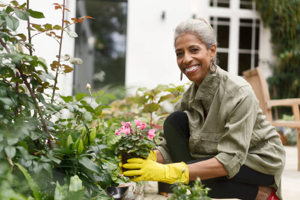 Happy retired senior woman gardening in back yard Happy retired female gardening in back yard. Smiling senior woman is crouching by plants. She is in casuals. gardening stock pictures, royalty-free photos & images